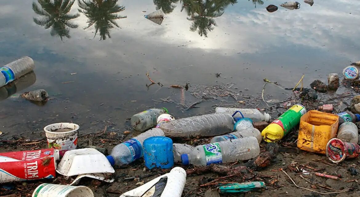 Brasil lança por ano 1,3 milhão de toneladas de plástico no oceano