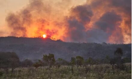 Incêndios na Chapada dos Veadeiros destroem mais de 20 mil hectares e são alvo de investigação da PF