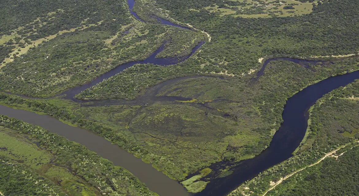 Maior parte da Mata Atlântica tem menos de 30% de vegetação nativa