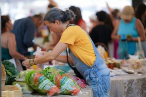 Atividade econômica goiana cresce 5,5% em outubro