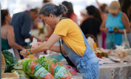 Atividade econômica goiana cresce 5,5% em outubro