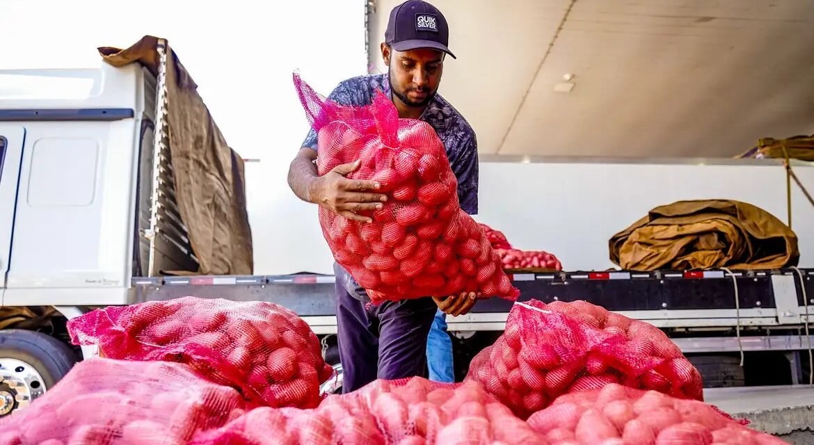 Conab aponta queda de preço da batata e alta da cebola e tomate