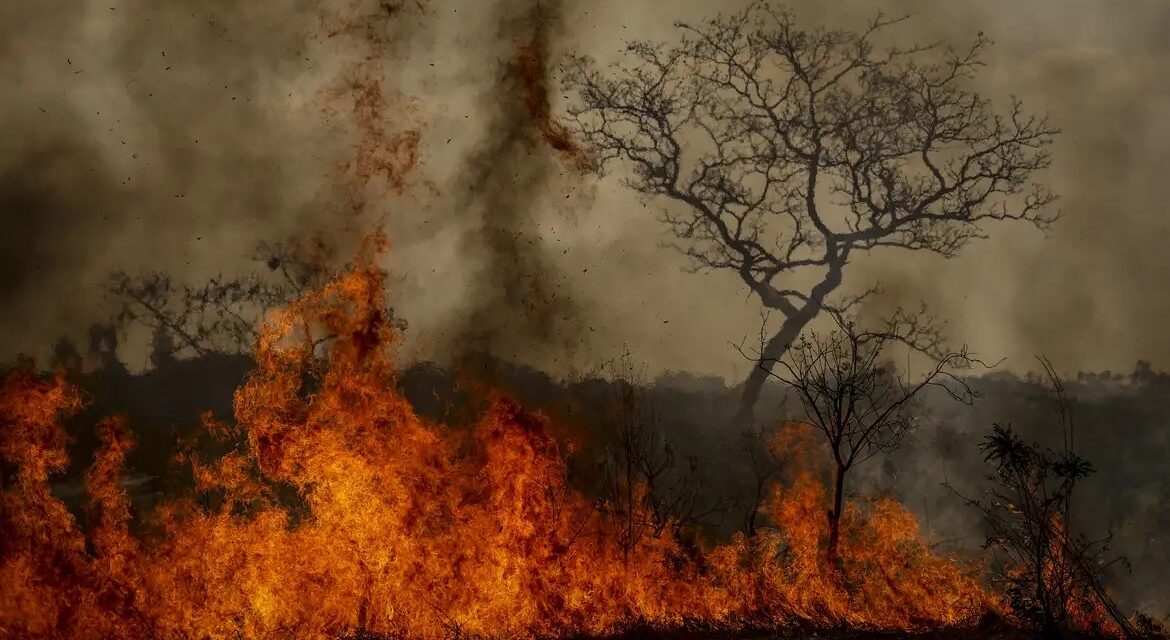 Desastres climáticos aumentaram 250% nos últimos quatro anos no país