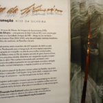 Há 120 anos nascia Nise da Silveira, a “psiquiatra rebelde”