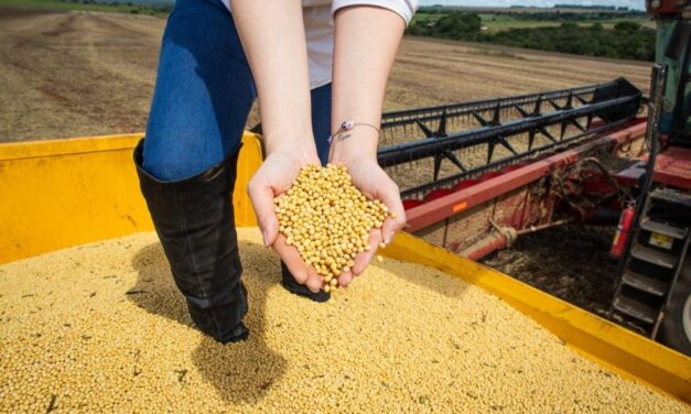 PIB de Goiás cresce 5,9% em fevereiro