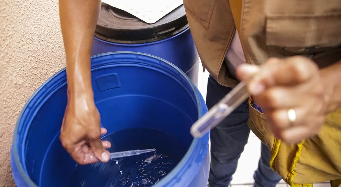 Goiás já registra 31 mortes por dengue em 2025, diz SES