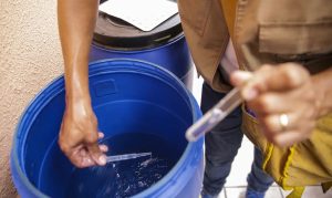 Goiás já registra 31 mortes por dengue em 2025, diz SES