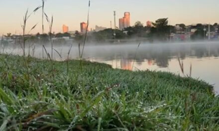 Goiás tem o dia mais frio do ano e geada