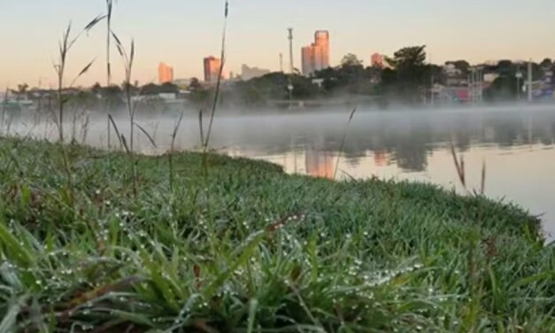 Goiás tem o dia mais frio do ano e geada