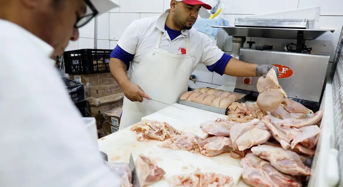 Gripe aviária: 16 países suspendem restrição à carne brasileira