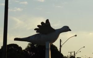 Cidade goiana é a única do país que tem maioria da população espírita, diz IBGE