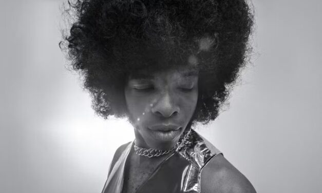 Sly Stone, vocalista pioneiro do funk americano com a Family Stone, morre aos 82 anos