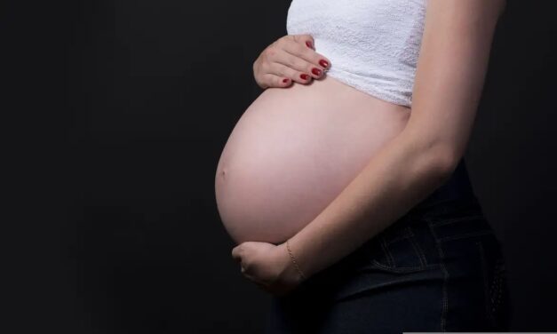 Brasileiras estão tendo menos filhos e adiam maternidade, diz Censo