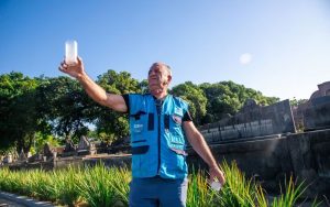 Mosquitos com bactéria que impede a proliferação de vírus da dengue devem ser soltos em Goiás