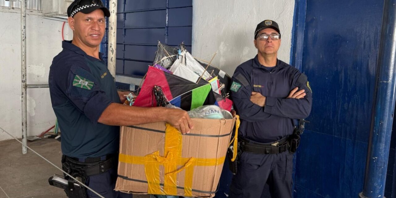 Campanha Pipa Sem Cerol apreende mais de 1,5 mil carretéis com linhas cortantes em Goiânia