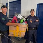 Campanha Pipa Sem Cerol apreende mais de 1,5 mil carretéis com linhas cortantes em Goiânia
