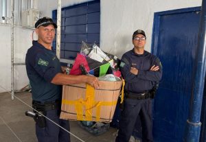 Campanha Pipa Sem Cerol apreende mais de 1,5 mil carretéis com linhas cortantes em Goiânia