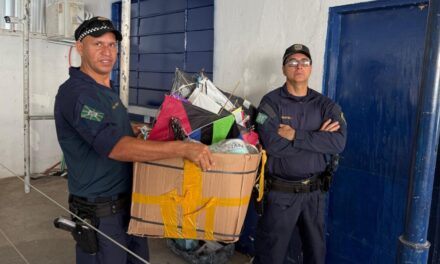 Campanha Pipa Sem Cerol apreende mais de 1,5 mil carretéis com linhas cortantes em Goiânia