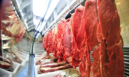 Venda de carne bovina do Brasil para os EUA cai 60% após recorde de abril