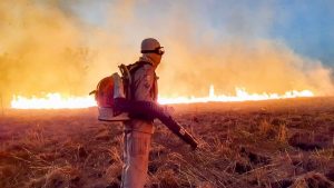 Aplicativo ajuda população a informar focos de incêndio em Goiânia