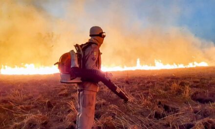 Aplicativo ajuda população a informar focos de incêndio em Goiânia