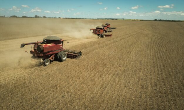 Goiás registra superávit de US$ 826 milhões na balança comercial de julho