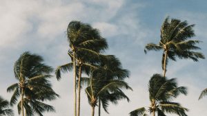 Cidades em Goiás têm alerta amarelo para risco de vendaval