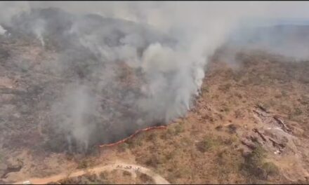 Incêndio interdita cachoeira e atinge mais de 4 mil hectares em Pirenópolis