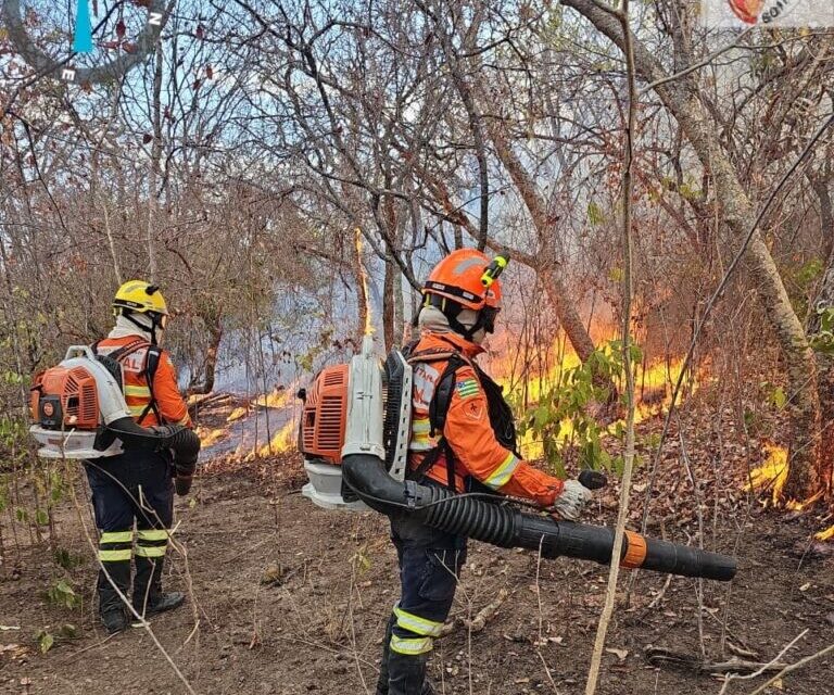 Identificados autores de incêndios em quase 90 mil hectares