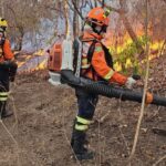 Identificados autores de incêndios em quase 90 mil hectares