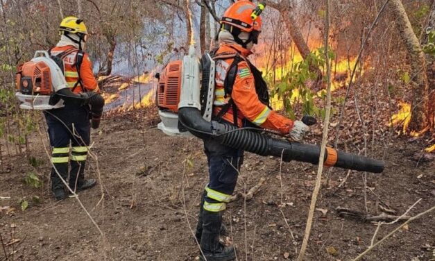 Identificados autores de incêndios em quase 90 mil hectares