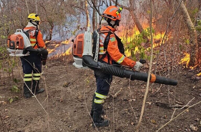 Falta de acesso a mamógrafos limita prevenção do câncer de mama Falta de acesso a mamógrafos limita prevenção do câncer de mama