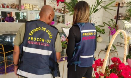 Variação em preços de flores para Dia de Finados passa de 580%