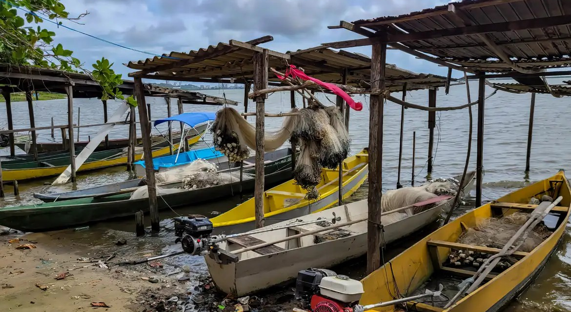 Início do defeso da piracema restringe pesca comercial no país