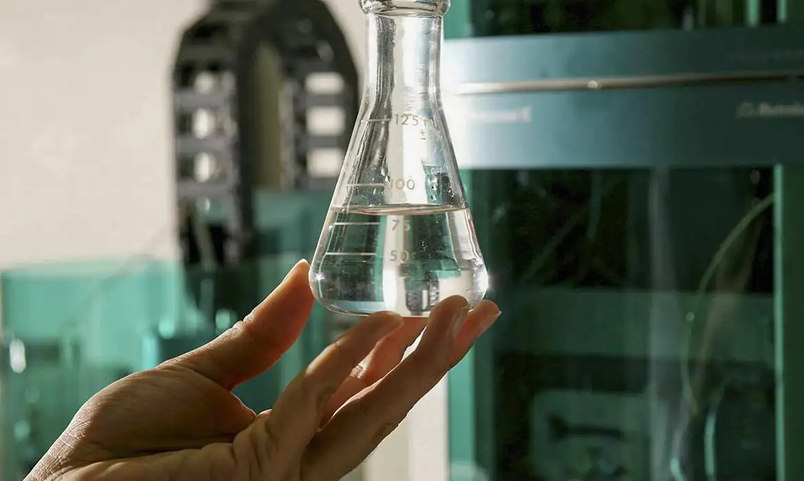 Goiás reduz insegurança alimentar em 24,6% aponta IBGE