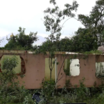 Brumadinho: Crea cancela registro de 15 engenheiros envolvidos