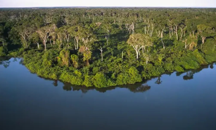 Saneago lança Programa Agroflorestal para fortalecer segurança hídrica e alimentar