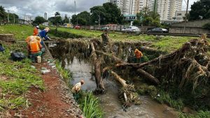 Prefeitura retira 60 toneladas de resíduos e desobstrui córregos após fortes chuvas em Goiânia