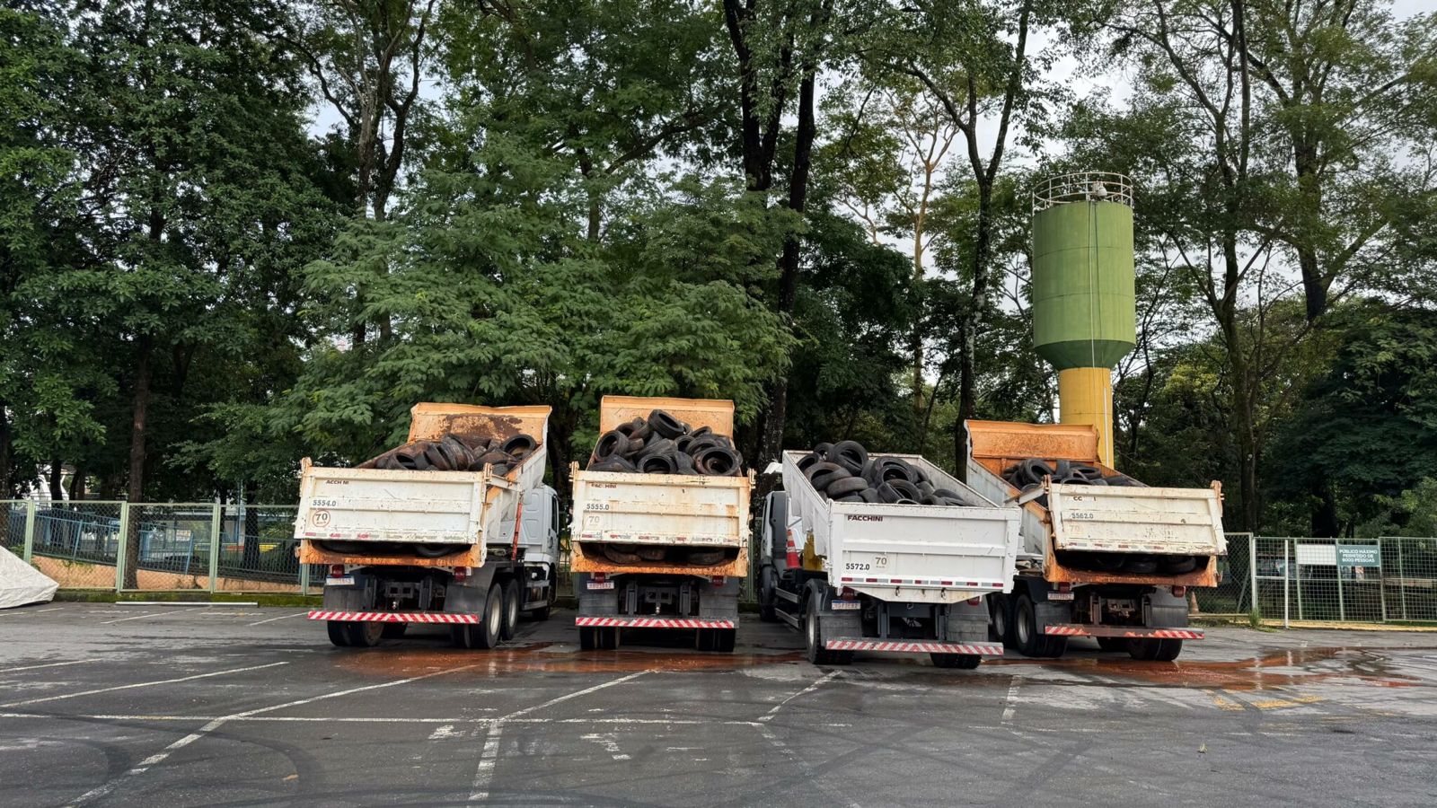 Prefeitura de Goiânia recolhe 15 toneladas de pneus inservíveis em Dia D de combate à dengue Prefeitura de Goiânia recolhe 15 toneladas de pneus inservíveis em Dia D de combate à dengue