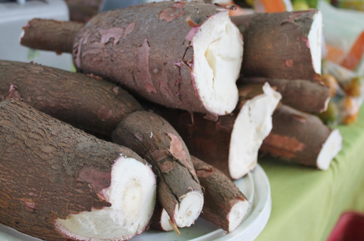 Goiás abre consulta pública sobre espécies ameaçadas de extinção Goiás abre consulta pública sobre espécies ameaçadas de extinção