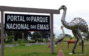 Governo ativa 33 pontos de Wi-Fi público e amplia conectividade no estado