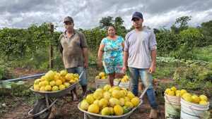 Goiás terá semana de cadastro para agricultura familiar