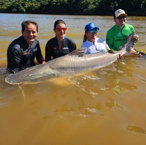 Pesca em Goiás tem novas regras. Confira o que muda