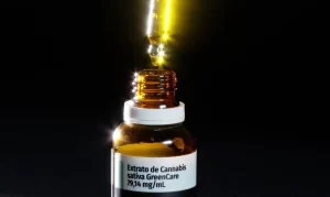 Autorizações para importação de cannabis aumentam 29% em 2026