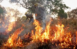 Governo de Goiás orienta população sobre prevenção a incêndios em áreas urbanas